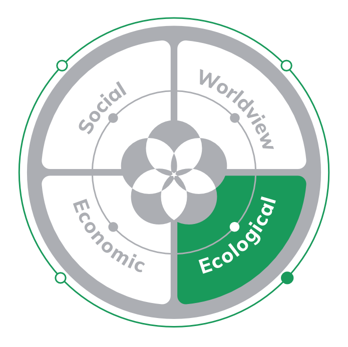 The four dimensions of regenerative design — Ecological highlighted